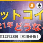 【BTC、XRP、ETH、XEM】ビットコイン300万円間近！2021年はどうなる！？【12月28日 相場解説】