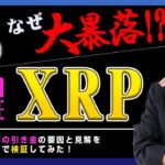【投資】XRP”超”大暴落！リップル社が提訴される！？Rippleは証券なのか？なぜ、パニック売りが発生したのか？原因を独自検証してみました！