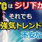 【ビットコインはジリ下がり】それでも強気トレンドに不安なし