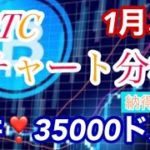 仮想通貨BTC ビットコインの天井は35000ドル‼️とした‼️ リップル、、、はピンクライン割ったまま😭