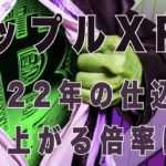 リップル XRP ビットコイン 300万円 猛追できるか？ 2022年暴騰シナリオに向けての最後の買い場になるのか？ショートスリーパー あっちゃん 世界金融クラッシュ前の稼ぎ方