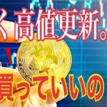 【仮想通貨】ビットコイン続く高値更新。まだ買っていいの？テクニカル・ファンダ分析で解説【暗号資産】