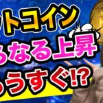 ビットコインは、2月4日に注目、12日は暴落に注意【リップルとドージコインとロビンフッダー】マイクロストラテジーと中国春節