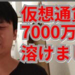 【悲報】仮想通貨で2日間で7000万円溶けました【オワタ?!】
