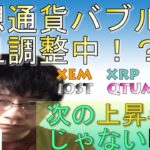 【仮想通貨ビットコイン，イーサリアム、リップル、IOST，QTUM,XEM】仮想通貨バブル一旦調整からのレンジ内で力溜めの状況、次の爆上げも近い！！