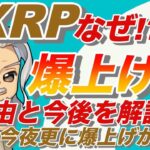 【ビットコイン・イーサリアム・リップル分析】XRPは今後どうなってしまうのか？