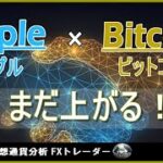 【XRP×BTC テクニカル分析】最高値までは上昇継続！リップル×ビットコイン