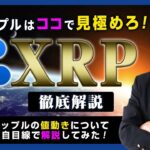【投資】XRPのエントリーポイント解説！リップルとビットコインの価格連動性が解消されてきた！？「Pump＆Dump」が仕掛けられた後のリップルのトレードについて独自目線で検証してみた！