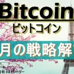 【ビットコイン テクニカル分析】3月の戦略解説。
