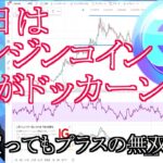 【投資】#95　本日はエンジンコインがドッカーン！仮想通貨のチャート分析！