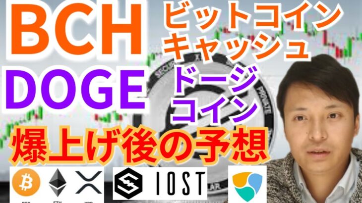 【仮想通貨BTC, ETH, XRP, BCH, IOST, XEM, DOGE】ビットコインキャッシュ＆ドージコイン爆上げ後の予想