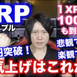 XRPリップル100円突破！もう上の抵抗帯はない！本気上げはこれから！200円以上は余裕でいけるポテンシャルを持つ仮想通貨