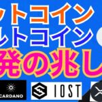 【仮想通貨BTC, ETH, XRP, BCH, IOST, ADA】ビットコイン&アルトコイン反発の兆しはある‼️諦めない‼️