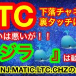 🔥セリングクライマックスなのか❗️❓悪い地合いにクジラ🐳は動く‼️【仮想通貨 BTC.ETH.ENJ.MATIC.LTC.CHZ】仮想通貨全面安の中流れるニュースは一級品✨✨✨