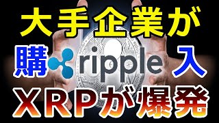 【暗号通貨】リップル（XRP）大手企業がXRPを購入！この組み合わせが『XRPを爆発させる』