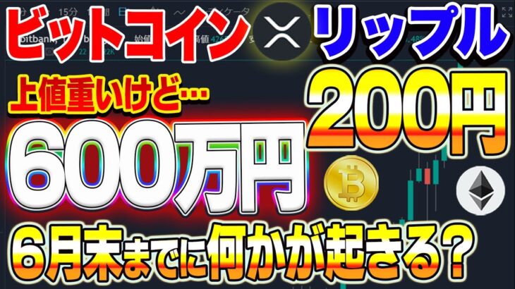 【仮想通貨】６月ビットコイン600万円、７月リップル200円！イーロンマスクが何かするかも？