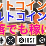 【仮想通貨BTC, ETH, XRP, IOST, XLM】下落しても稼げるビットコイン＆アルトコイン👍️✨