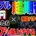 【仮想通貨】リップル超期待！Twitterがビットコイン決済を導入？？超盛り上がる仮想通貨市場！！