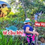 Cười Lên Bờ Xuống Ruộng Pha Té Cầu Khỉ Của Mẹ Vợ Thái – Khám Phá Tỉnh Phatthalung | Duy Nan #41