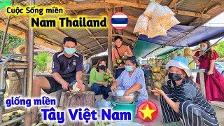 Duy Đi Khám Phá Ở Thái Lan Người Ta Dùng Thốt Nốt Chế Biến Ra Những Gì | Dâu Thái & Rể Việt #35