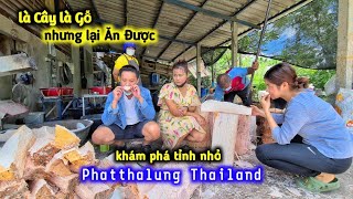 Ở Thailand Người Ta Dùng Cây Gỗ Làm Thành Thức Ăn – Khám Phá Tỉnh Phatthalung P2 | Duy Nan #42