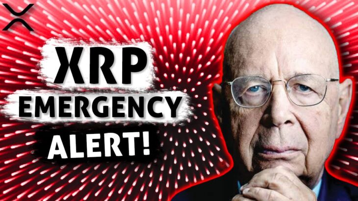 Ripple XRP: LEAKED Documents! 🚨They Are WARNING You!🚨