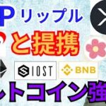 アルトコイン強い‼️リップルが日本のSBIと提携【仮想通貨 BTC ETH XRP IOST BNB ALICE】