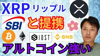 アルトコイン強い‼️リップルが日本のSBIと提携【仮想通貨 BTC ETH XRP IOST BNB ALICE】