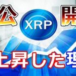 【仮想通貨】リップル（XRP）が急上昇した理由を公開『これが重要な要素となる』