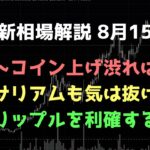 リップルに感謝して利確、ノーポジになっても応援｜ビットコイン、イーサリアム、リップルの値動きを解説