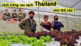 Khám Phá Vườn Rau Sạch Ở Thái, Mua Rau Sạch Về Ăn Mũ Cà Thá | Duy Nan #48