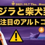 仮想通貨市場にクジラと柴犬。XRP、DOT、ADAは上昇モード突入か。オンチェーンで見る現在の勢いと今後の戦略。
