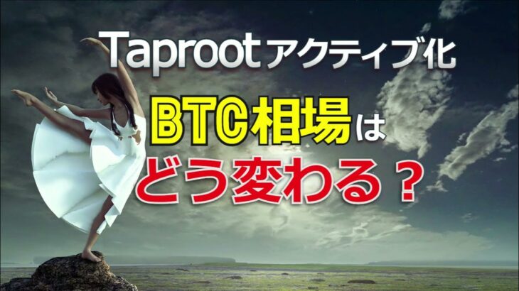 タップルート（Taproot）アクティブ化でビットコイン（BTC）相場はどのように変