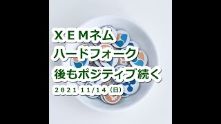 仮想通貨 XEMネム18～19日ハードフォーク予定！将来コインベースと〇〇で20円は安い？【11月14日】