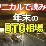 テクニカルで読み解く年末のビットコイン（BTC）相場