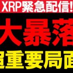 【大暴落します】XRPが年末波乱の展開..3日以内に結果がわかる【仮想通貨】【ビットコイン】【リップル】