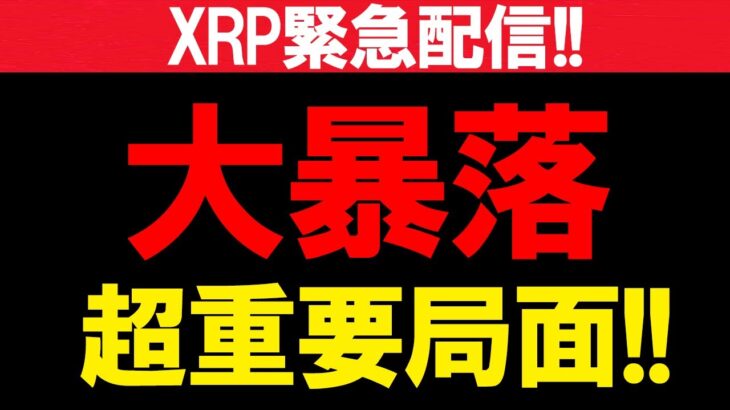 【大暴落します】XRPが年末波乱の展開..3日以内に結果がわかる【仮想通貨】【ビットコイン】【リップル】