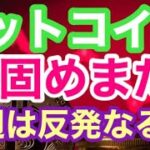 BTC重要ライン守れるか。ビットコインFXチャート分析