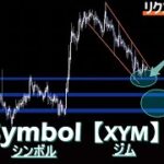 リクエスト要望No1コインの今の見解【Symbol  XYM シンボル  ジム 】