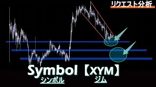 リクエスト要望No1コインの今の見解【Symbol  XYM シンボル  ジム 】