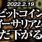 ビットコイン・イーサリアムまだ下がる！？［2022/2/19］【仮想通貨・BTC・ETC】