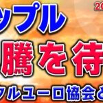 【リップル】リップル裁判もリップル社にとって優勢と思える情報が続く。次の爆上げを虎視眈々と待て。まずはビットからだ。