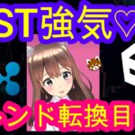 03/30【仮想通貨】BTC・XRP・IOST相場分析♡毎日聞くだけで勝率UP♪寝る前・通勤・お休み中に♡IOSTは高値維持なるか!?