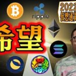【仮想通貨 ﾋﾞｯﾄｺｲﾝBTC ＆ ｱﾙﾄｺｲﾝ 分析】上昇への希望が大きく膨らむ展開!!