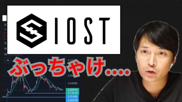 日本で人気の仮想通貨IOSTの将来性は、ぶっちゃけ◯◯です…
