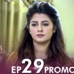 Inteha e Ishq – Episode 29 Promo | Hiba Bukhari & Junaid Khan | Presented By NISA Cosmetics | C3B2O