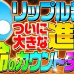 【XRP最新情報‼︎】リップル裁判に大きな進展が！今後のSEC訴訟問題は〇〇日が超重要！【仮想通貨】【ニュース】【ビットコイン】