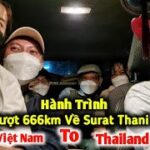 Gia Đình Việt Nam Vượt 666km Từ Bangkok Về Miền Nam Surat Thani Thăm Sui Gia Thái Lan