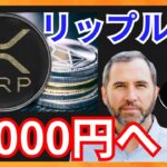 仮想通貨XRP(リップル)、1,000円になる？