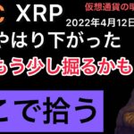 XRPやはり。BTC調整来ました。【仮想通貨】#bitcoin #リップル #仮想通貨 #xrp #ビットコイン #暗号通貨